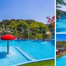 연인들의사랑이야기풀빌라 | ✨ 강릉 연인들의사랑이야기: 워터슬라이드와 프라이빗 바비큐! (하루 4팀만 받는 힐링 펜션)