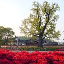 은명농장 | 고성이씨열전 35, 이굉(李浤)