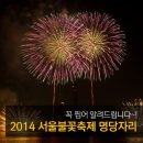 2014 서울불꽃축제 명당자리 이미지