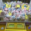 찌꼬뽀꼬 연남점 이미지