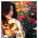 장미와 그녀... 해가질 무렵 [서울대공원] BGM 이미지