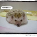 백만불PC 네이버블로그