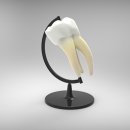 왕치과의원 이미지