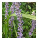 양북초 송전분교 이미지