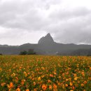 진안 농업기술센터 이미지