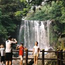 천제연폭포 이미지