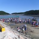 접도어촌체험마을 이미지