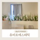 유비르에스테틱