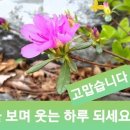 예쁜하루 이미지