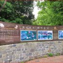 대나무숲길 이미지