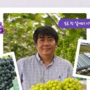 팜스토리 이미지