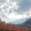 배내미낚시터 이미지