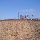 복평농장 이미지