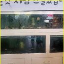 일광수산횟집 3 이미지