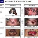 [&#39;24년 12월 23일] 📰 오늘의 주요 뉴스![담배갑, 월세, 로또]