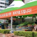 (주)세이브존아이앤씨대전점 뉴스티앤티