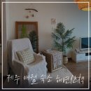 멜팟 | 5월의제주 Day11(카페 멜팟, 곽지해수욕장, 해변산책, 처갓집양념치킨)