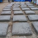 솔바우농장 이미지