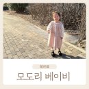 모도리베이비 이미지