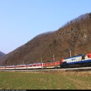 곰배령 벨리 이미지