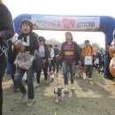 건강하개 이미지