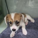 구암동451 이미지