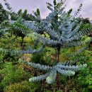 동백공원 입구 이미지