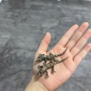 원주브리딩 이미지