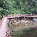 옥포항(조라) 이미지