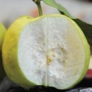 선아농장 이미지