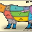 고기류 이미지