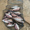 동검낚시터 이미지