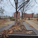 동빙고(근린공원) 이미지