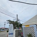 자작도하우스 이미지