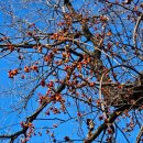 우포가시연꽃마을 | 창녕 우포늪과 고분군