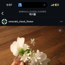 취운화 이미지