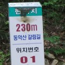 곡성-230 Daum카페