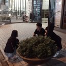 ★☆ 나무기타 부산 졸업반 10월 8일 공연 후기 ★☆ 이미지