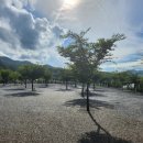 속리산365캠핑장 이미지