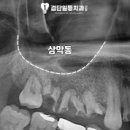 도시덴탈 이미지
