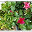 기와집숯불고기 이미지