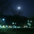 [오토캠핑]괴산 화양동 가족캠핑.