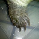 마들역(7호선) 이미지