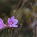 준희농장 이미지