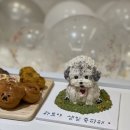 두몽언니 이미지