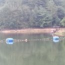 신추정낚시터 이미지