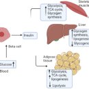 내과동물병원 루미나 이미지