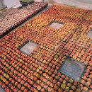 다래다육