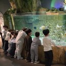 졸업 여행을 다녀왔어요.(대전엑스포아쿠아리움2) 이미지