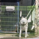증평가구세상 | 반차내고 괴산 호캉스하러 가는 요란법석 이야기 근데 먹을거 빼면 이야기 진행이 안됨 (청명호텔...